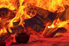 Image of a brick pizza oven with fire and flame