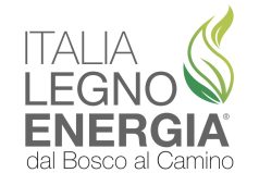 ILE-LOGO-GRIGIO