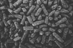 Pellet-torrefatti